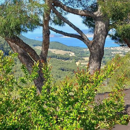 La Villa Entre Terre Et Mer Saint-Côme Exteriör bild